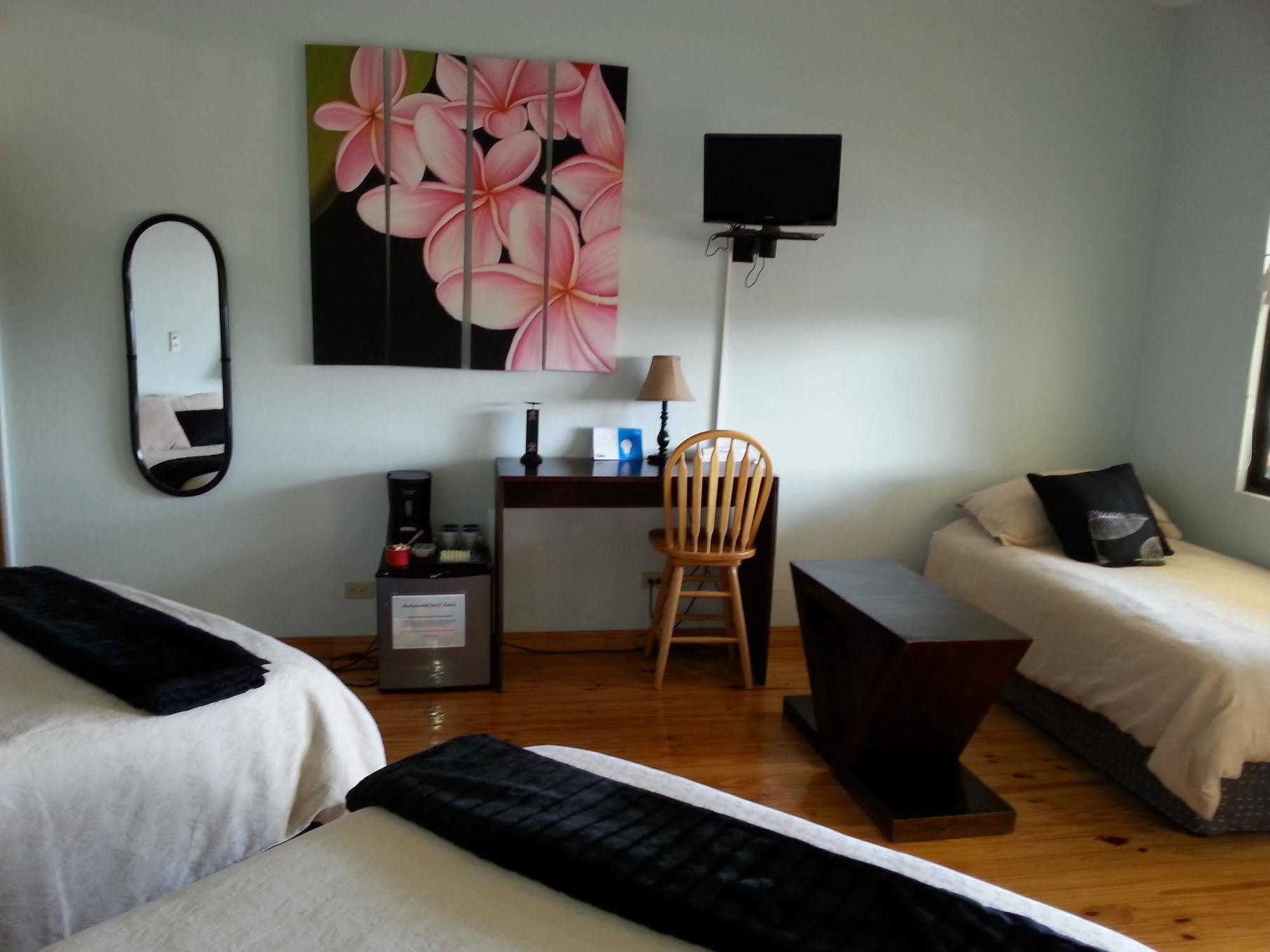 Out Of Bounds Boutique Hotel San José Eksteriør billede