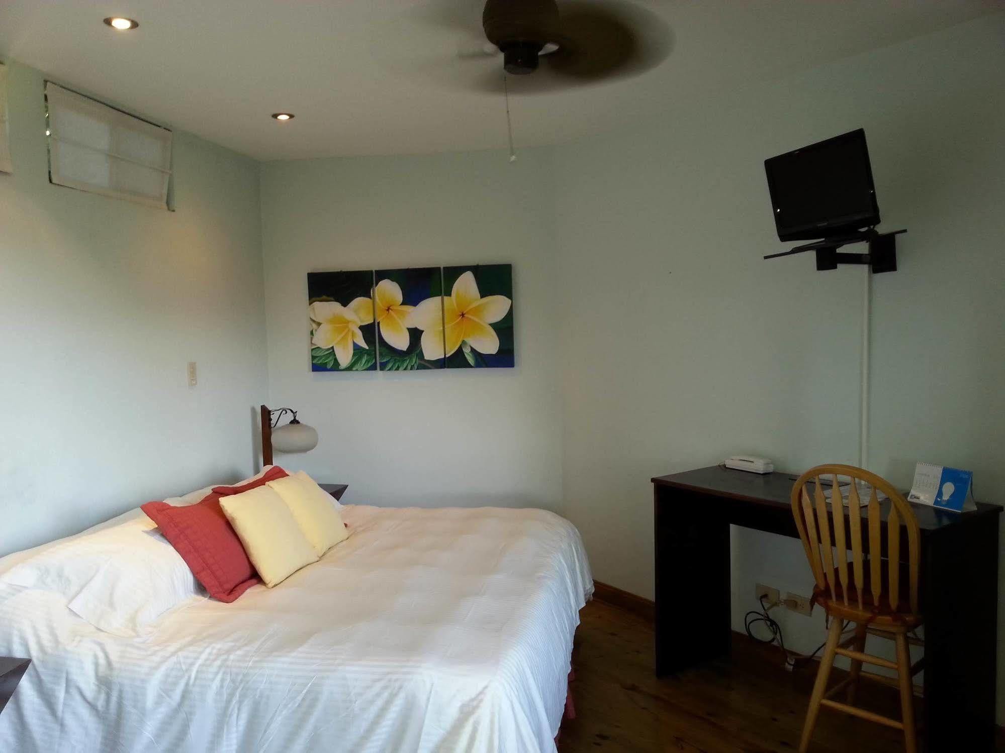 Out Of Bounds Boutique Hotel San José Eksteriør billede