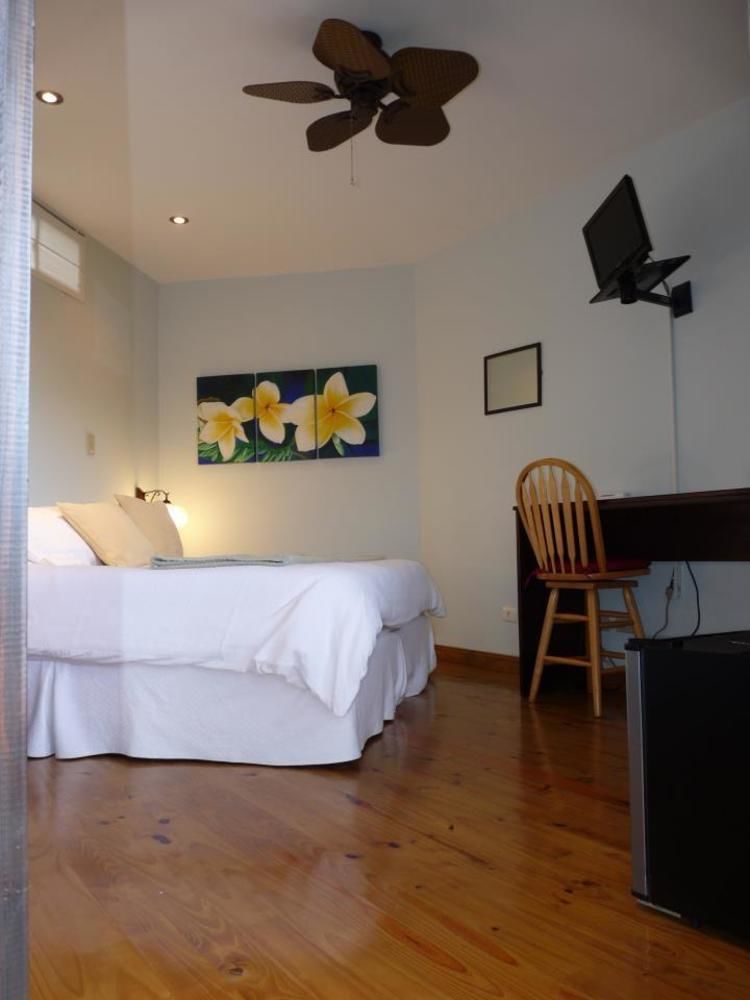 Out Of Bounds Boutique Hotel San José Eksteriør billede
